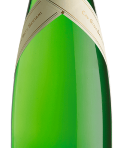 Soave Doc 2020 Vintage Edition Bertani