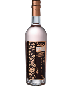 MANCINO SAKURA